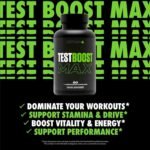 Sculpt Nation V Shred Test Boost Max – 60 Capsules | Wholesale with Low MOQ | Choice Wholesales