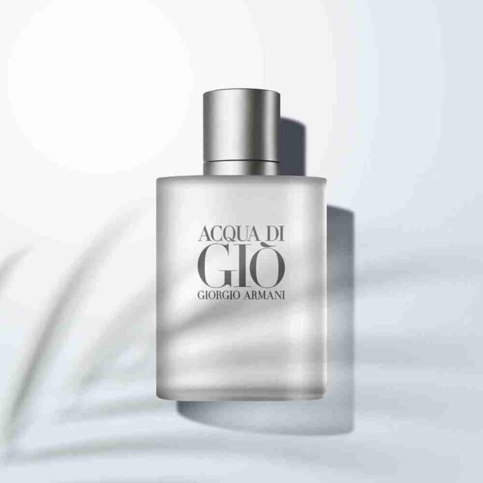 Giorgio Armani Acqua Di Gio for Men, Eau De Toilette Spray 3.4 Fl Oz | Choice Wholesales
