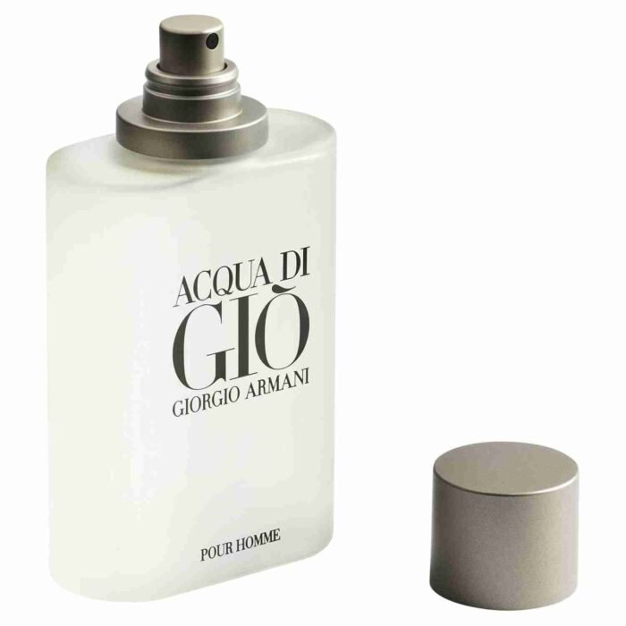 Giorgio Armani Acqua Di Gio for Men, Eau De Toilette Spray 3.4 Fl Oz | Choice Wholesales