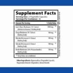 Stonehenge Health Dynamic Mushrooms – 60 Capsules | Nootropic Support at Wholesale Prices | Choice Wholesales