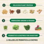 Garden of Life Raw Organic Protein & Greens – Chocolate – Vegan Protein Powder for Women and Men | Choice Wholesales