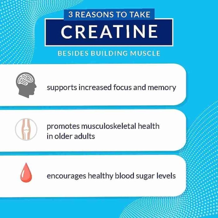 BodyTech 100% Pure Creatine Monohydrate Powder – Premium Micronized Creatine for Enhanced Muscle Strength and Performance – | Choice Wholesales