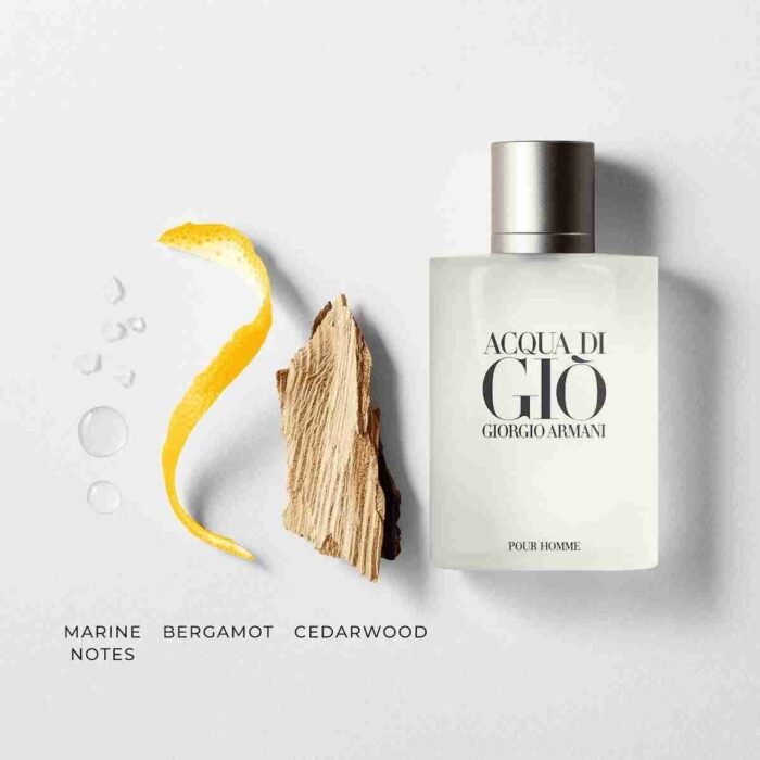 Giorgio Armani Acqua Di Gio for Men, Eau De Toilette Spray 3.4 Fl Oz | Choice Wholesales