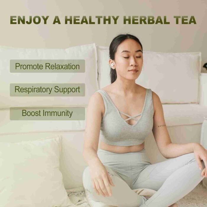FullChea – Lemon Balm Tea Bag, 40 Teabags, 1.5g/bag – Premium Lemon Balm Herb – Melissa Officinalis – Non-GMO – Caffeine-free – | Choice Wholesales