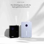 Hotel Collection – My Way Essential Oil Scent – Luxury Hotel Inspired Aromatherapy Scent Diffuser Oil – Lush Sandalwood, Warm | Choice Wholesales