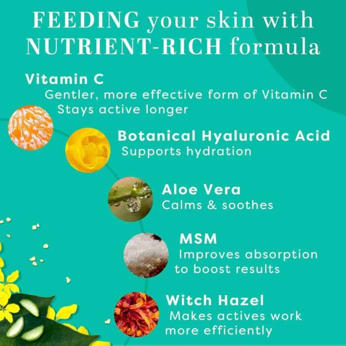 TruSkin Vitamin C Serum – Anti Aging Facial Serum with Vitamin C, Hyaluronic Acid, Vitamin E & More – Brightening Serum for | Choice Wholesales