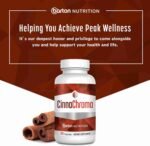 CinnaChroma Blood Sugar Support – 60 Capsules | Promote Healthy Glucose Levels | Choice Wholesales