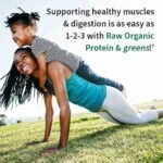 Garden of Life Raw Organic Protein & Greens – Chocolate – Vegan Protein Powder for Women and Men | Choice Wholesales