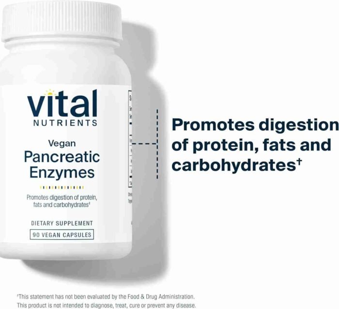 Vital Nutrients Vegan Pancreatic Enzymes – for Women & Men – Enzymes for Digestion Support Gut Health – Relief from Gas & | Choice Wholesales