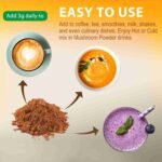 Mushroom Coffee for Smoothies/Latte, Mushroom Powder Blend (57 Servings) with Lions Mane, Reishi, Cordyceps, Turkey Tail, Chaga | Choice Wholesales