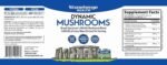 Stonehenge Health Dynamic Mushrooms – 60 Capsules | Nootropic Support at Wholesale Prices | Choice Wholesales