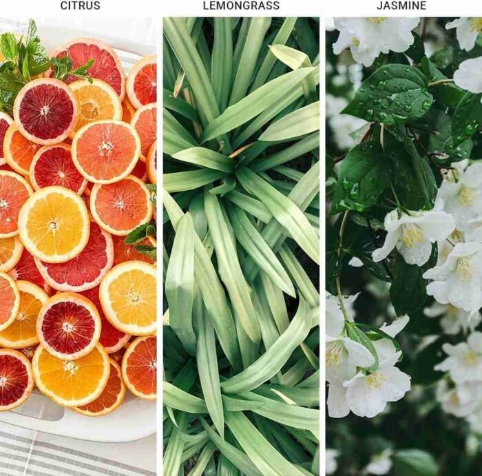 Hotel Collection – My Way Essential Oil Scent – Luxury Hotel Inspired Aromatherapy Scent Diffuser Oil – Lush Sandalwood, Warm | Choice Wholesales