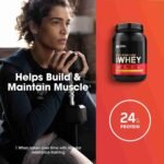 Optimum Nutrition Gold Standard 100% Whey Protein Powder, Double Rich Chocolate, 5 Pound (Packaging May Vary) | Choice Wholesales