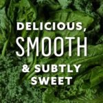 Suja Organic Greens Powder Probiotic Blend, Spirulina, Daily Superfood Drink or Smoothie Mix for Immune Support, Digestion, & | Choice Wholesales