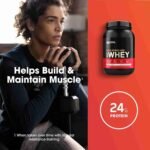 Optimum Nutrition Gold Standard 100% Whey Protein Powder, Double Rich Chocolate, 5 Pound (Packaging May Vary) | Choice Wholesales