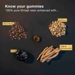 Be Bodywise Pure Himalayan Shilajit Gummies Gold I Lab Tested I No Added Sugar I Ashwagandha, Gokshura| Fulvic Acid & 85+ Trace | Choice Wholesales