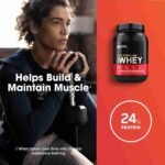 Optimum Nutrition Gold Standard 100% Whey Protein Powder, Double Rich Chocolate, 5 Pound (Packaging May Vary) | Choice Wholesales
