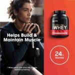 Optimum Nutrition Gold Standard 100% Whey Protein Powder, Double Rich Chocolate, 5 Pound (Packaging May Vary) | Choice Wholesales