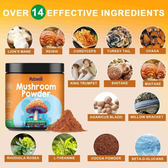 Mushroom Coffee for Smoothies/Latte, Mushroom Powder Blend (57 Servings) with Lions Mane, Reishi, Cordyceps, Turkey Tail, Chaga | Choice Wholesales