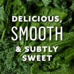 Suja Organic Greens Powder Probiotic Blend, Spirulina, Daily Superfood Drink or Smoothie Mix for Immune Support, Digestion, & | Choice Wholesales