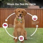 K9 Advantix II Monthly Flea & Tick Prevention for Medium Dogs 11-20 lbs, 6-Monthly Treatment | Choice Wholesales